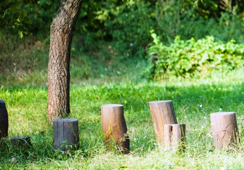 Familienaufstellung zur Selbstheilung, eine Form der Energiearbeit, in der Anne Kathrin Frihs auch das Innere Kind einbezieht.