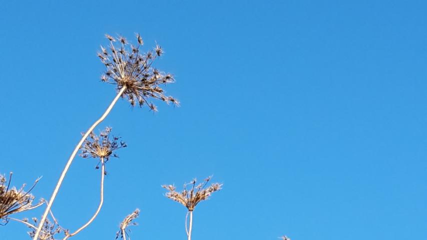 Alleingeborene Zwillinge leiden meist sehr unter den Verlusten, die sie im Mutterleib erfahren haben. Anne Kathrin Frihs hilft in ihrem Seminar und auch in Einzelarbeit, sich dieser pränatalen Erfahrungen bewusst zu werden und sie zu bewältigen.