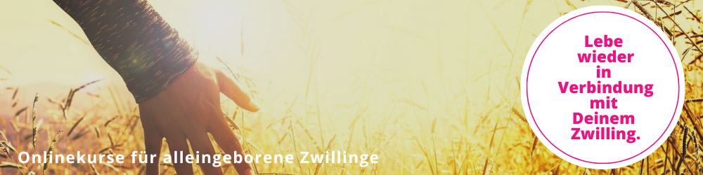 Basiskurs „Ab jetzt wieder gemeinsam!“ – In Verbindung mit Deinem Zwilling Aufbaukurs 1: Abgrenzung wieder aufbauen Aufbaukurs 2: Wahrnehmungsfähigkeit steuern – Reizüberflutung reduzieren Aufbaukurs 3: Verwechslungen auflösen Beziehungsstrukturen klären