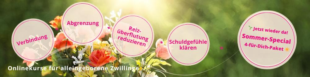 Hol Dir jetzt das 4-für-Dich-Paket für alleingeborene Zwillinge und Mehrlinge – Verbindung, Abgrenzung & Reizüberflutung reduzieren + eBook Schuldgefühle