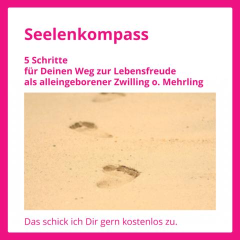 Hole Dir hier die vielfach für hilfreich empfundenen 5 Schritte für Deinen Weg zur Lebensfreude.