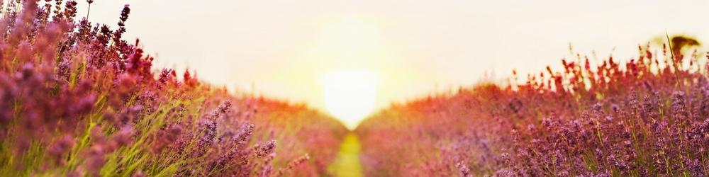 Kein Wunder geschieht mit einem großen Schritt. Aber mit vielen kleinen Schritten kann ein großes Wunder geschehen. _Bildquelle pixabay Wenn Deine Reise im Leben scheinbar nicht gelingt, zeigt Deine innere Kompassnadel in eine andere Richtung. Anne Kathrin Frihs begleitet Dich gern, Innen und Außen zu harmonisieren.