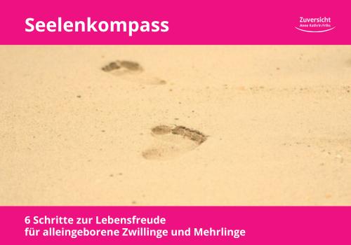 Hole Dir hier die vielfach für hilfreich empfundenen 6 Schritte für Deinen Weg zur Lebensfreude.