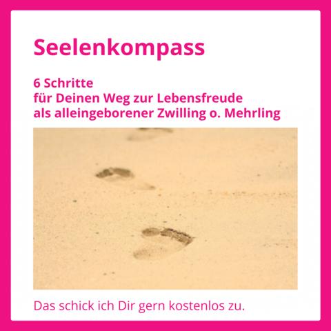 Hole Dir hier die vielfach für hilfreich empfundenen 5 Schritte für Deinen Weg zur Lebensfreude.
